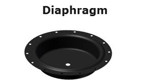 Diaphragm